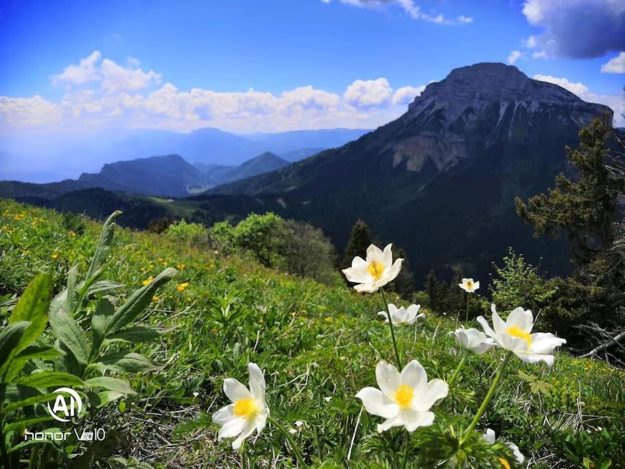 La Tour En Belledonne Vila Theys Exterior foto